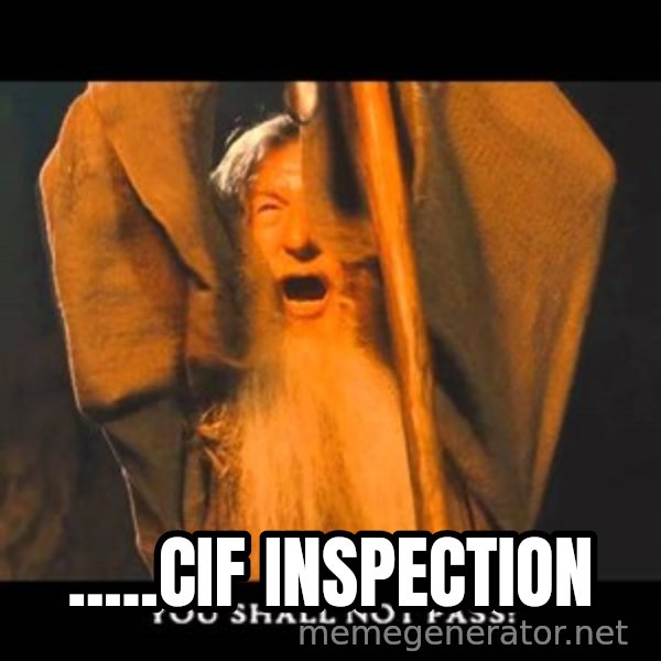 You Shall Not Pass Gandalf With Bottom Text meme: .....CIF inspection