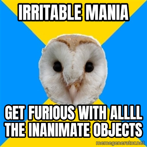 Bipolar Owl meme: irritable mania / get furious with allll the inanimate objects