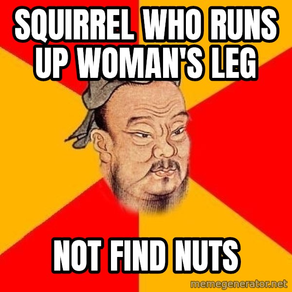 Wise Confucius meme: Squirrel who runs up woman's leg / Not Find nuts