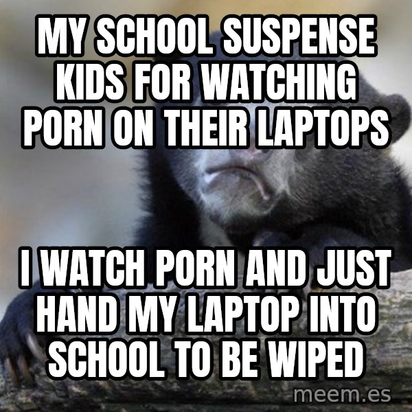 Confession Bear meme: my school SUSPENSE kids for watching porn on their laptops / i watch porn and just hand my laptop into school to be wiped