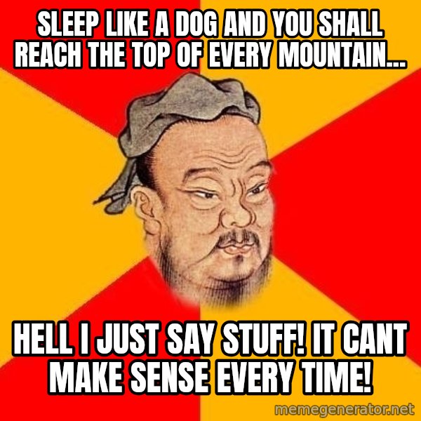 Wise Confucius meme: sLEEP LIKE A DOG AND YOU SHALL REACH THE TOP OF EVERY MOUNTAIN... / hell i just say stuff! it cant make sense every time!