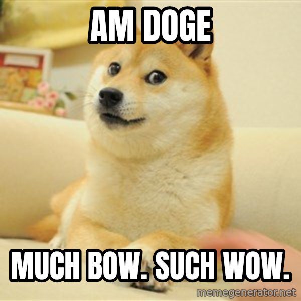 so doge meme: am doge / much bow. such wow.