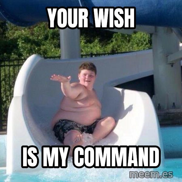 Slide In To My Dms meme: Your wish / Is my command