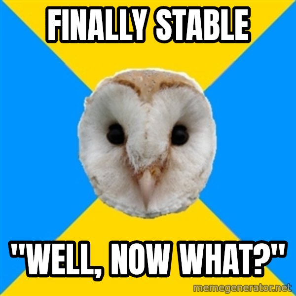 Bipolar Owl meme: finally stable / "well, now what?"