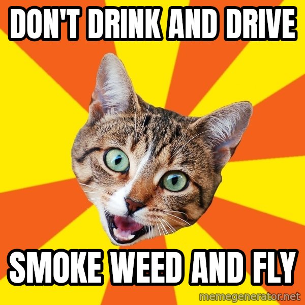 Bad Advice Cat meme: Don't drink and drive / Smoke weed and fly