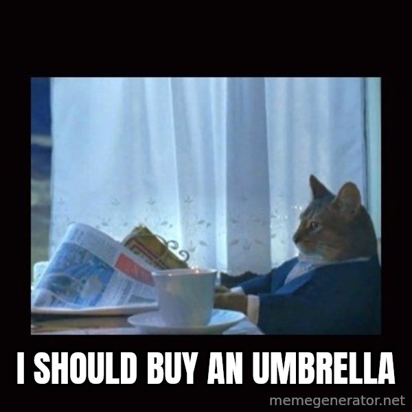 i should buy a boat cat meme: i should buy an umbrella