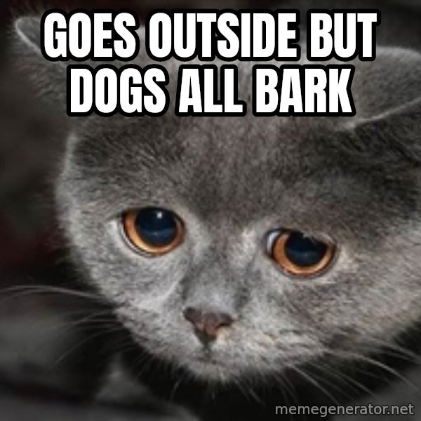 Sadcat meme: goes outside but dogs all bark