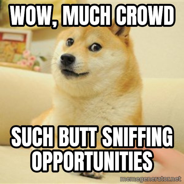 so doge meme: wow, much crowd / such butt sniffing opportunities