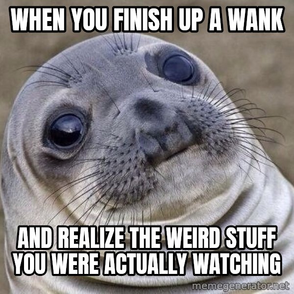 Awkward Seal meme: When you finish up a wank / and REALIZE the weird stuff you were actually watching