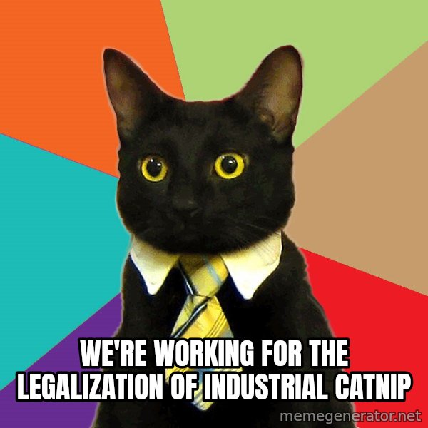 Business Cat meme: we're working for the legalization of industrial catnip