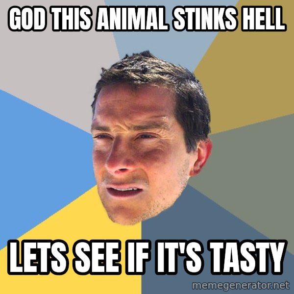 Bear Grylls meme: GOD ThIS Animal stinks hell / lets see if it's tasty