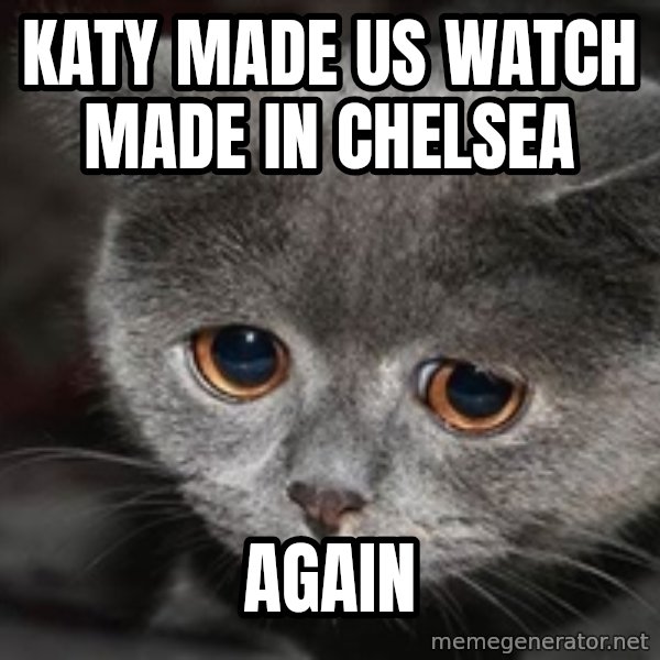 Sadcat meme: Katy made us watch made in chelsea / again