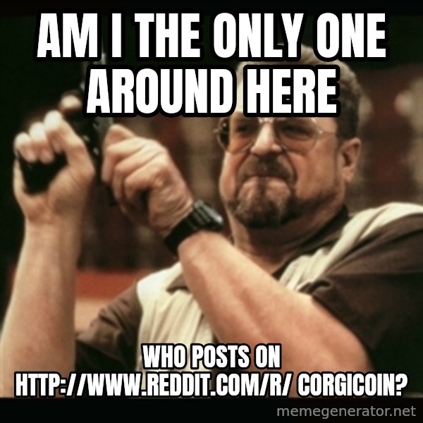 am i the only one around here meme: Am I the only one around here / who posts on http://www.reddit.com/r/ corgicoin?