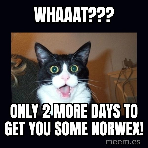 shocked cat meme: Whaaat??? / only 2 more days to get you some norwex!