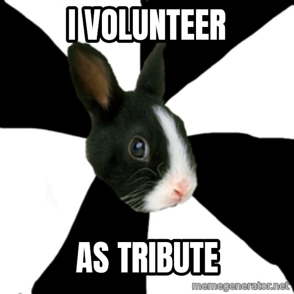 Roleplaying Rabbit meme: I VOlunteer / As tribute