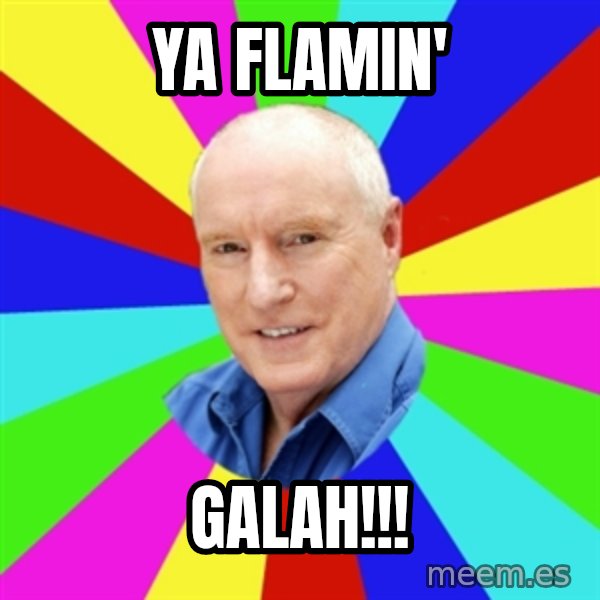 Alf Stewart meme: YA FLAMIN' / GALAH!!!