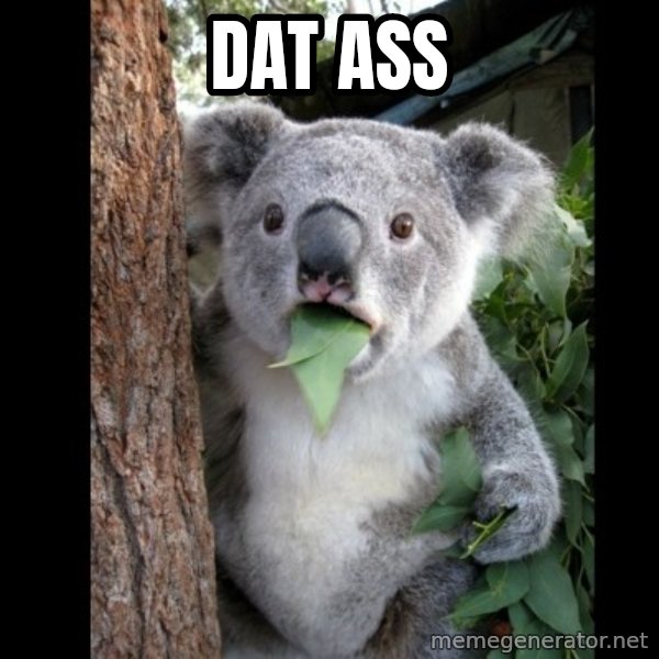 Koala can't believe it meme: DAT ASS