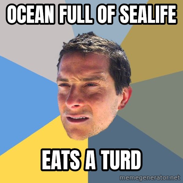 Bear Grylls meme: oCEAN FULL OF SEALIFE / EATS A TURD