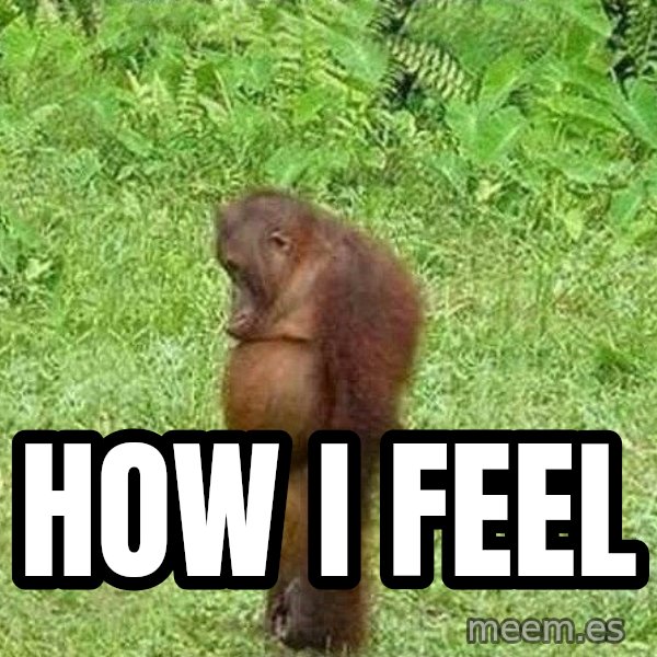 Orangutan Stan meme: how i feel