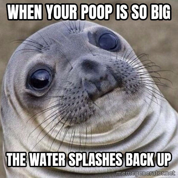 Awkward Seal meme: When your poop is so big / the water splashes back up