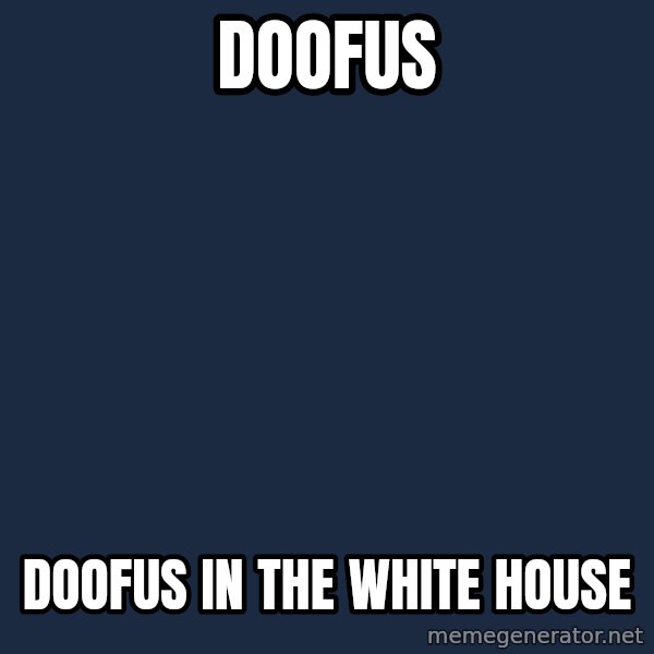 X, X Everywhere  meme: doofus / doofus in the white house