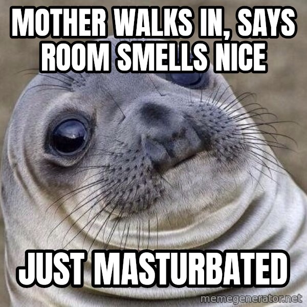 Awkward Seal meme: MOTHER WALKS IN, SAYS ROOM SMELLS NICE / JUST MASTURBATED