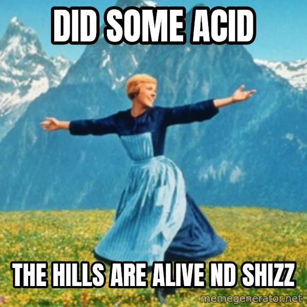 Sound Of Music Lady meme: DID SOME ACID / THE HILLS ARE ALIVE ND SHIZZ