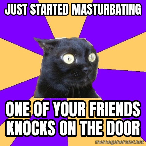 Anxiety Cat meme: just started masturbating / one of your friends knocks on the door