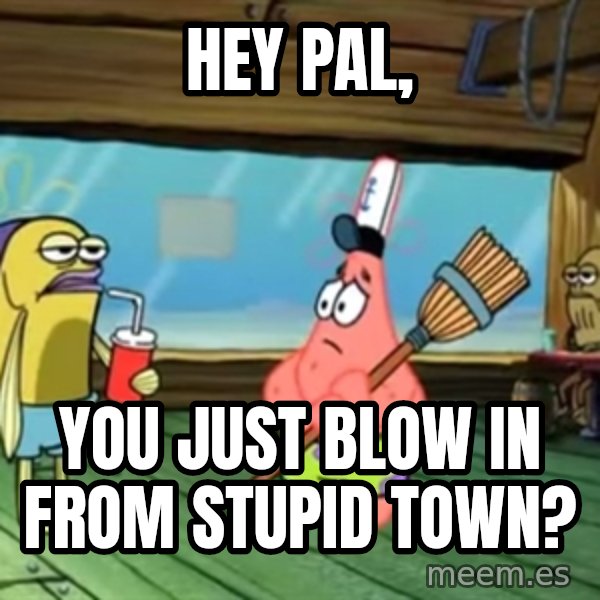 stupid town meme: Hey pal, / you just blow in from stupid town?