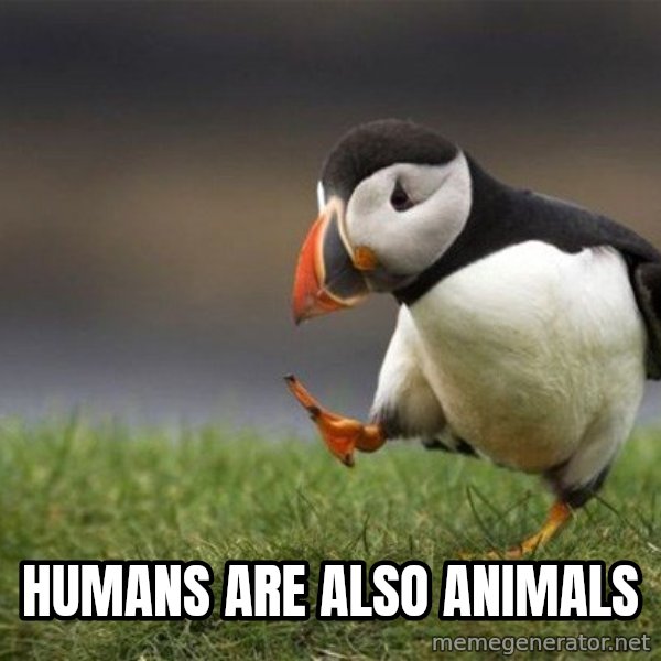 Unpopular Opinion Puffin meme: humans are also animals