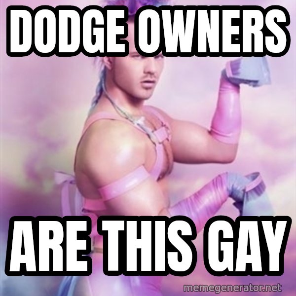 Unicorn Boy meme: DODGE OWNERS / ARE THIS GAY