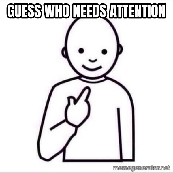 Guess who ? meme: guess who needs attention