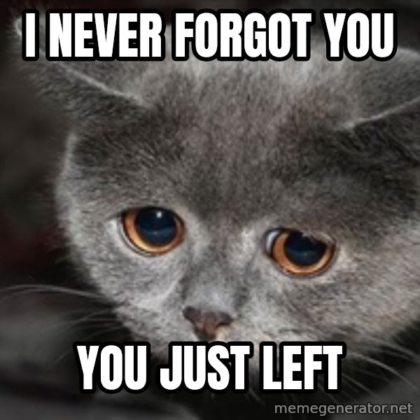 Sadcat meme: I NEVER FORGOT YOU / YOU JUST LEFT