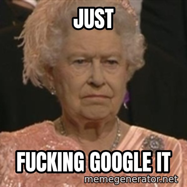 Queen Elizabeth Meme meme: just / fucking google it