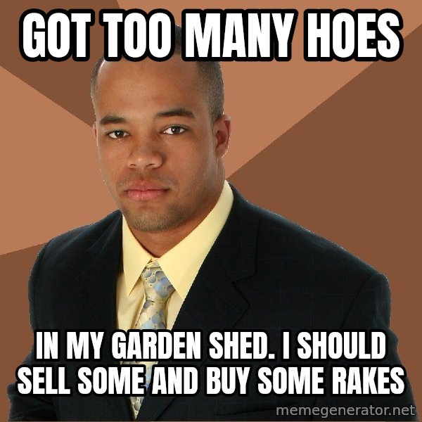 Successful Black Man meme: got too many hoes / in my garden shed.  i should sell some and buy some rakes