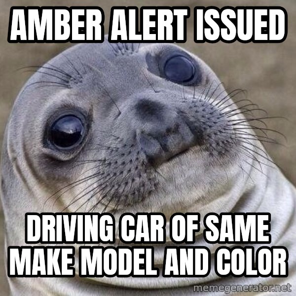Awkward Seal meme: Amber Alert Issued / driving car of same make model and color