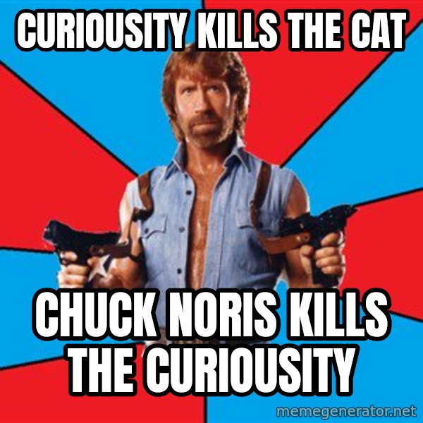 Chuck Norris  meme: Curiousity kills the cat / Chuck Noris kills the curiousity
