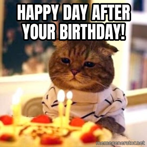 Birthday Cat meme: Happy Day after your Birthday!