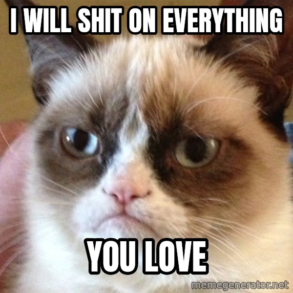 Angry Cat Meme meme: I will shit on everything / you love