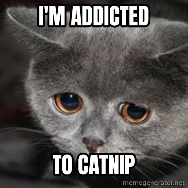 Sadcat meme: i'm addicted / to catnip