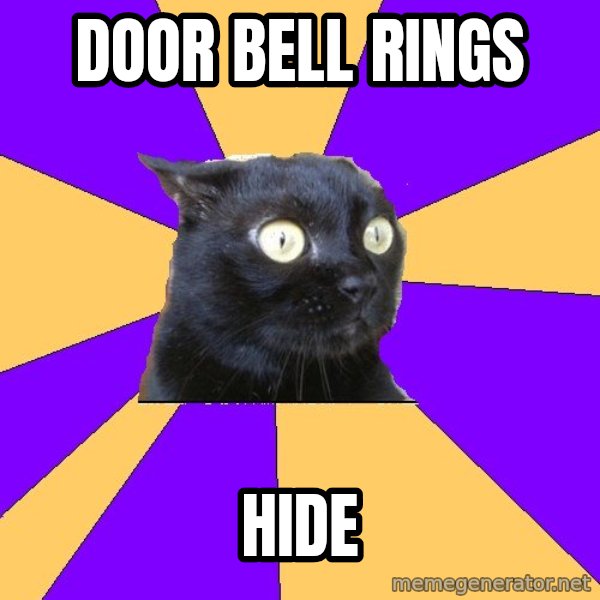 Anxiety Cat meme: Door Bell rings / Hide