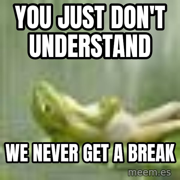 Frog Relaxing meme: You just don't understand / We never get a break