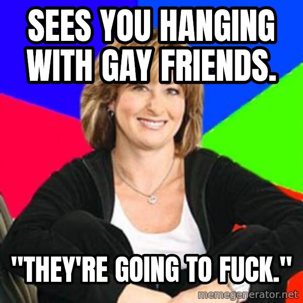 Sheltering Suburban Mom meme: Sees you hanging with gay friends. / "They're going to fuck."