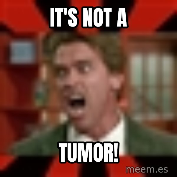 Arnold Schwarzenegger 1 meme: It's not a / Tumor!