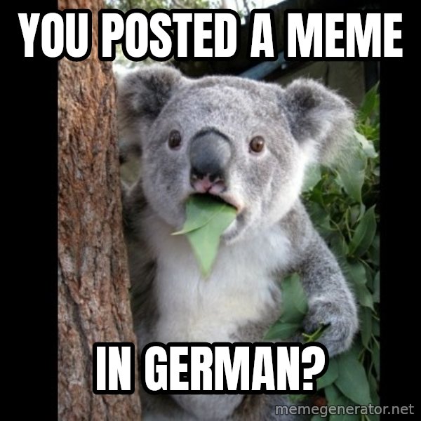 Koala can't believe it meme: YOU POSTED A MEME / IN GERMAN?