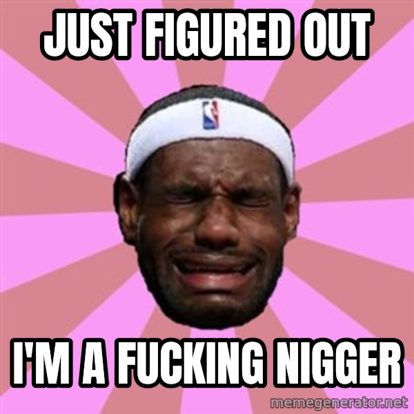 LeBron James meme: JUST FIGURED OUT / I'M A FUCKING NIGGER