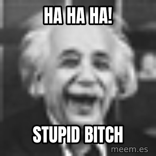 Einstein Laugh meme: Ha Ha Ha! / Stupid Bitch