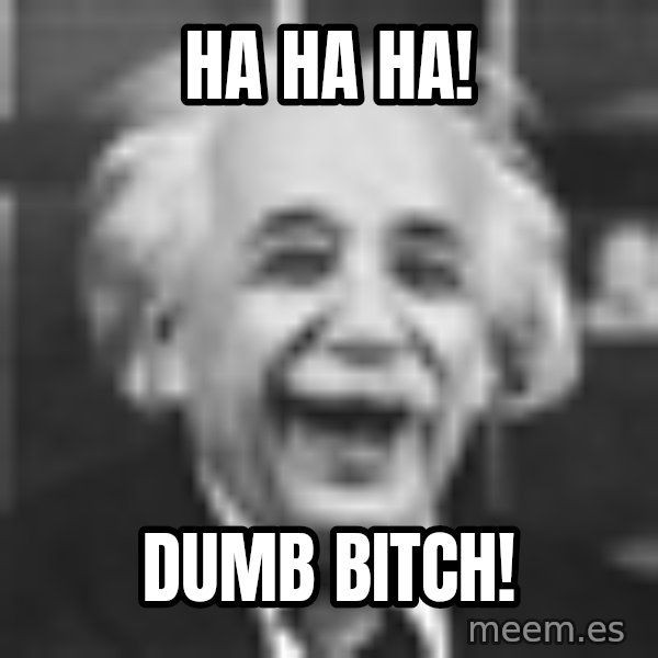 Einstein Laugh meme: Ha ha ha! / dumb bitch!