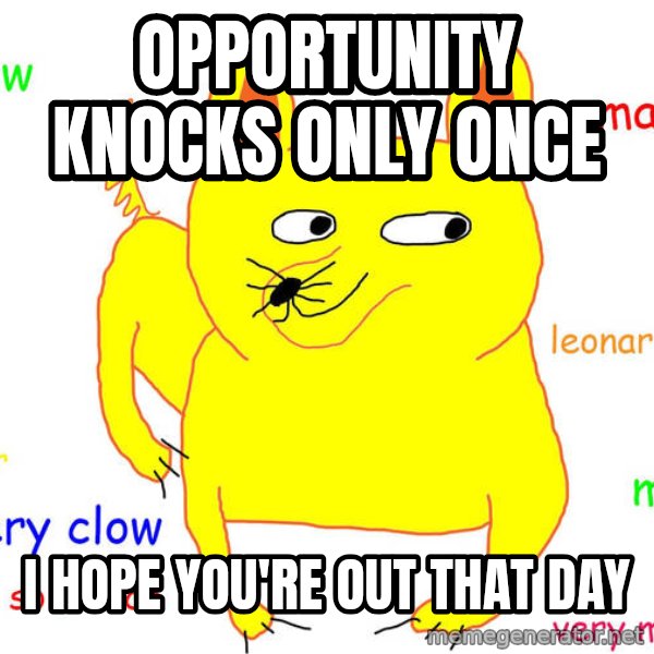 Grumpy Cat  meme: opportunity knocks only once / i hope you're out that day