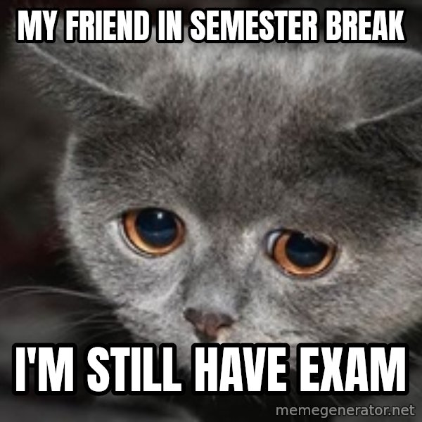 Sadcat meme: my friend in semester break / i'm still have Exam
